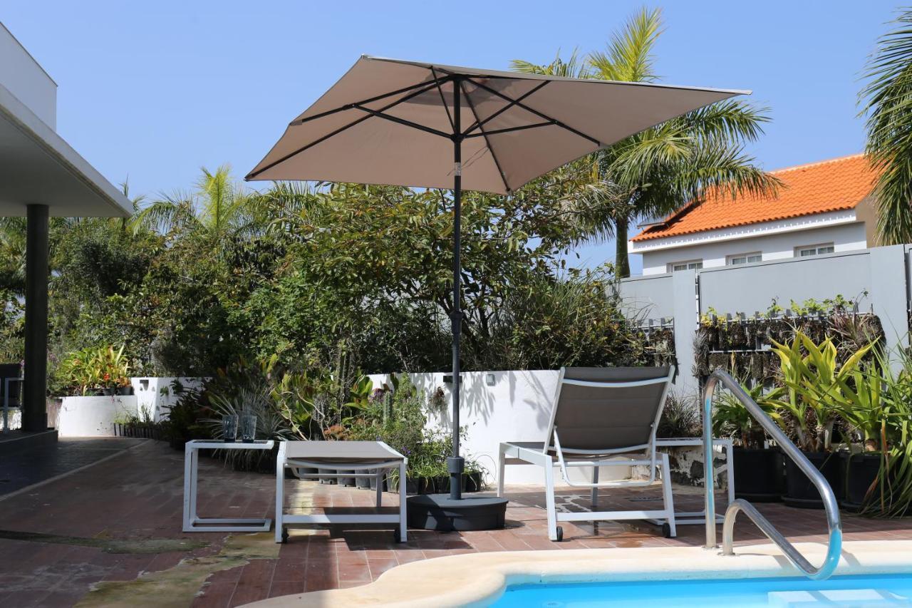 Jungle Paradise La Orotava Ngoại thất bức ảnh